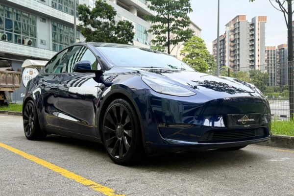 Tesla Model Y Electric Performance